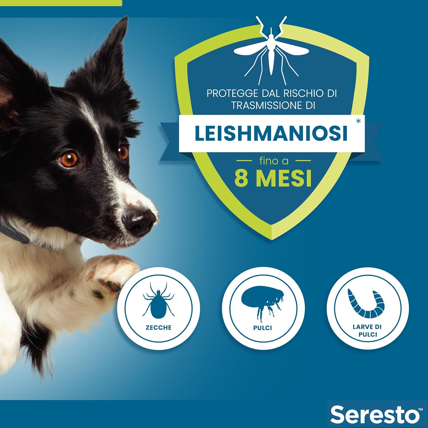Elanco Seresto Collare antiparassitario per cani oltre 8 kg - Foto 3