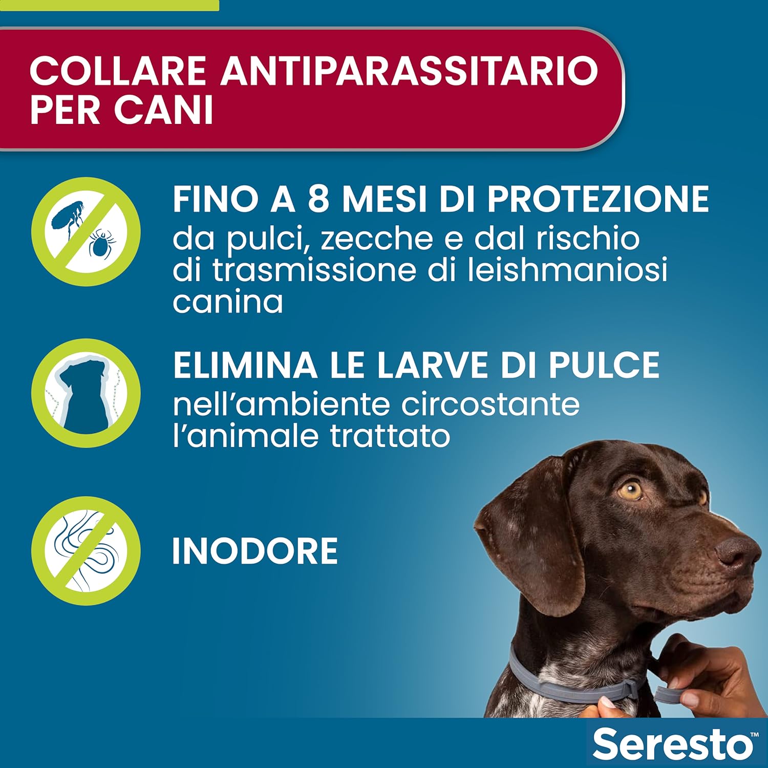 Seresto per Cani - Informazioni sul prodotto