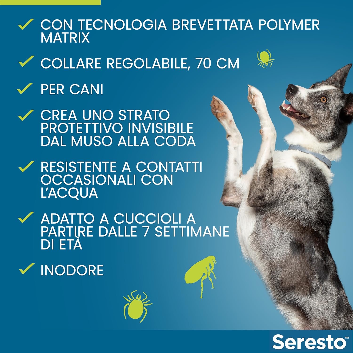 Cane all'aperto - Protezione dai parassiti
